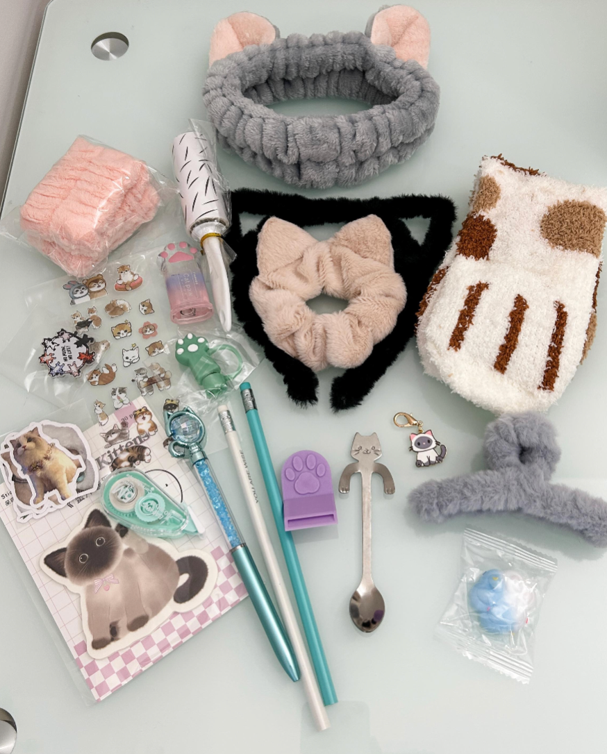 Cat Lucky Scoop π (20+ Items) | Premium Kawaii Mystery Box