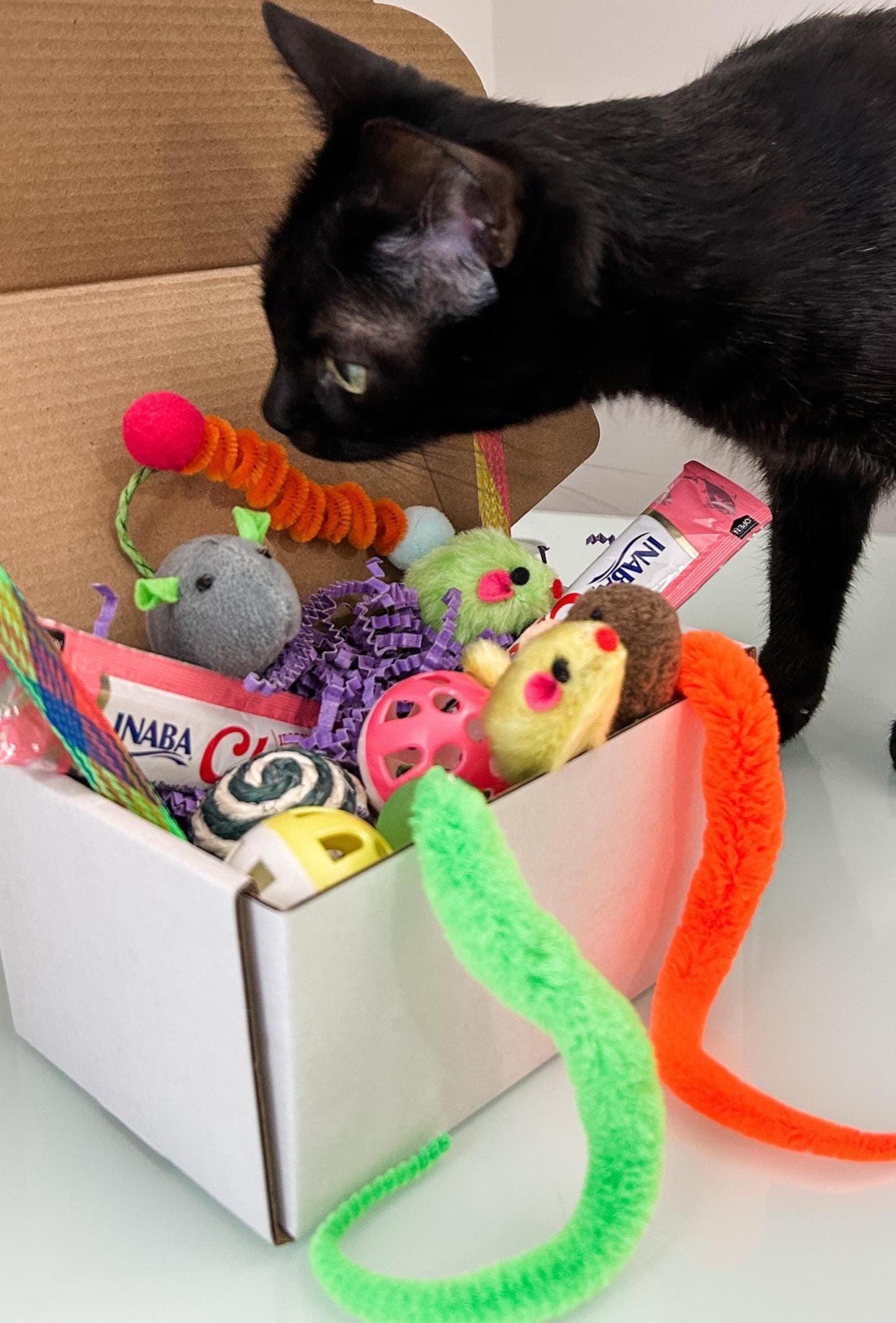 Cat Toy Gift Box with Treats – 14 Piece Enrichment Set for Indoor Cats