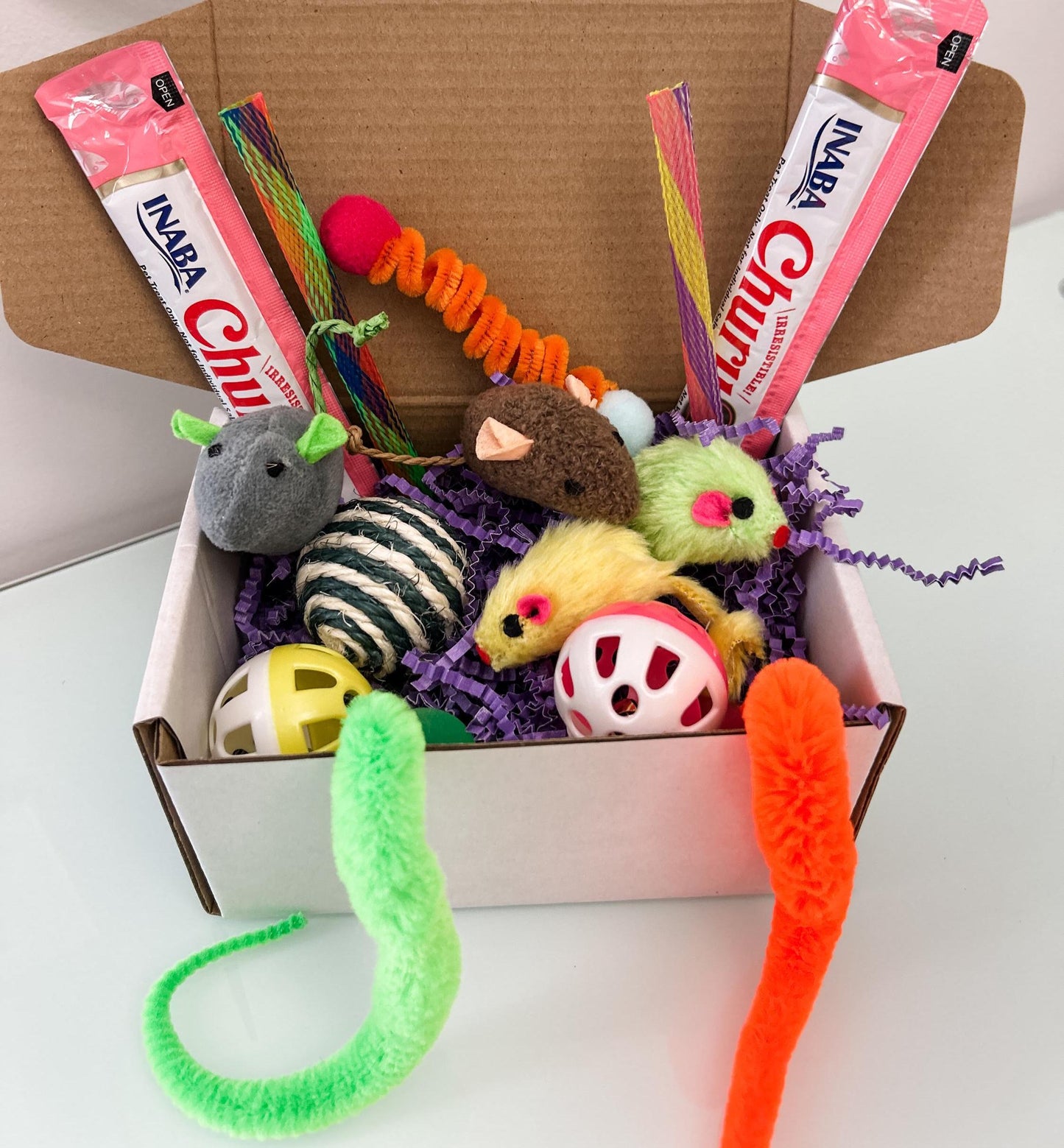 Cat Toy Gift Box with Treats – 14 Piece Enrichment Set for Indoor Cats