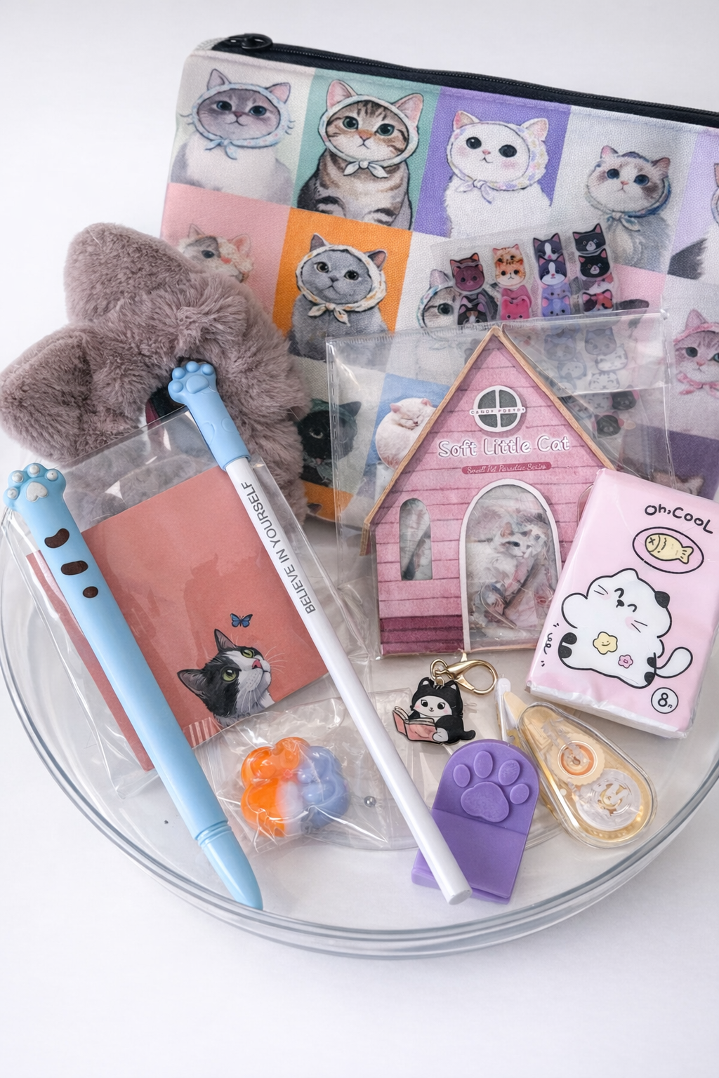 Mini Cat Lucky Scoop 💗 (10+ Items) | Kawaii Mystery Box