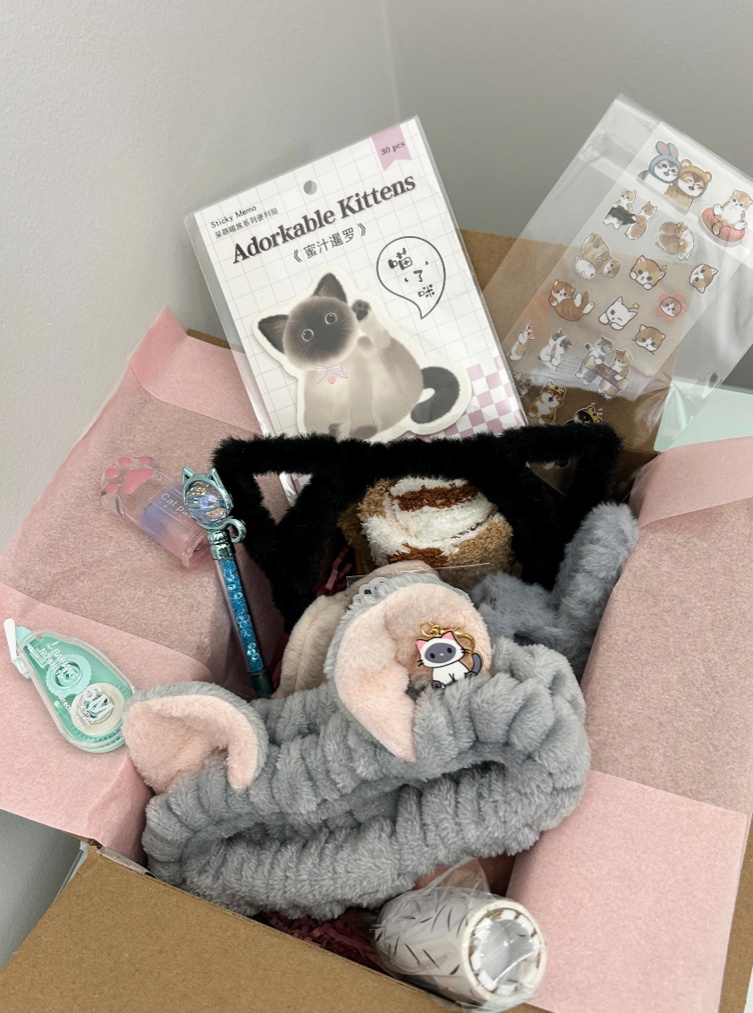 Cat Lucky Scoop 💗 (20+ Items) | Premium Kawaii Mystery Box