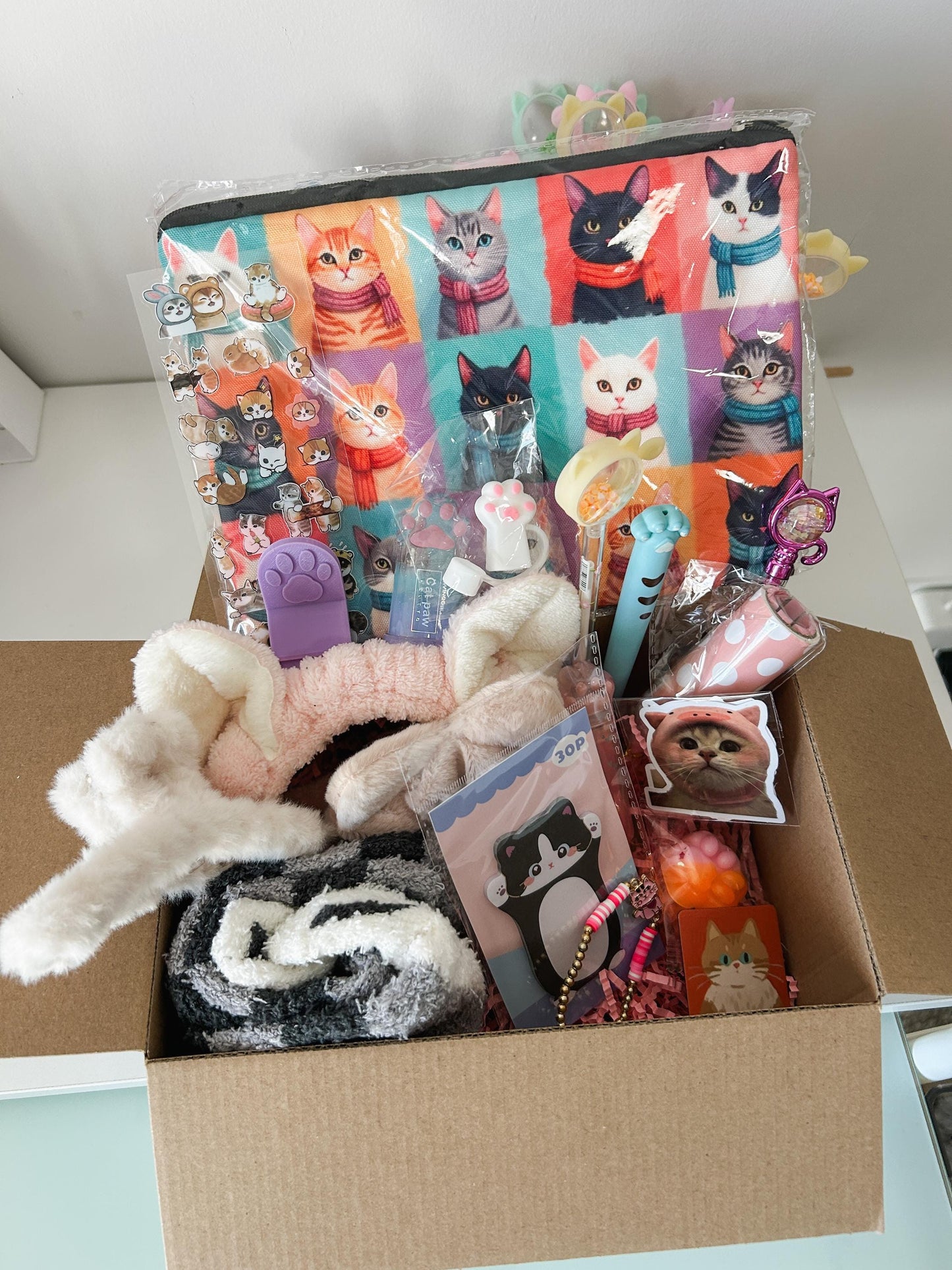 Cat Lucky Scoop 💗 (20+ Items) | Premium Kawaii Mystery Box